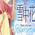 雪中花游戏