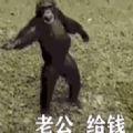 搬砖表情包