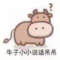 牛子小小说话吊吊的