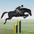 跳马游戏