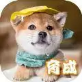 柴犬模拟器3D