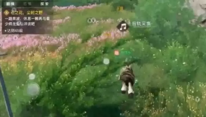 天谕手游课堂展示二昆虫在哪？课堂展示二昆虫声音收集攻略流程图片2