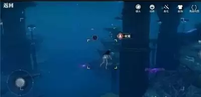 天谕手游汐愿之海鱼类分布介绍 汐愿之海鱼类分布位置分享图片4