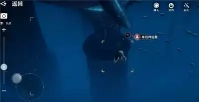 天谕手游汐愿之海鱼类分布介绍 汐愿之海鱼类分布位置分享图片3