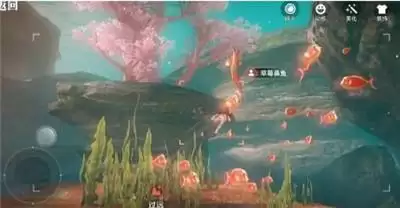 天谕手游汐愿之海鱼类分布介绍 汐愿之海鱼类分布位置分享图片8