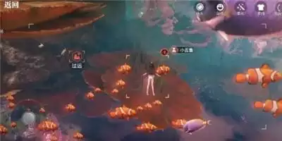 天谕手游汐愿之海鱼类分布介绍 汐愿之海鱼类分布位置分享图片9