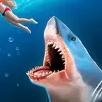 深海鲨鱼模拟器