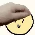 perpet