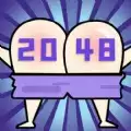 神奇的2048