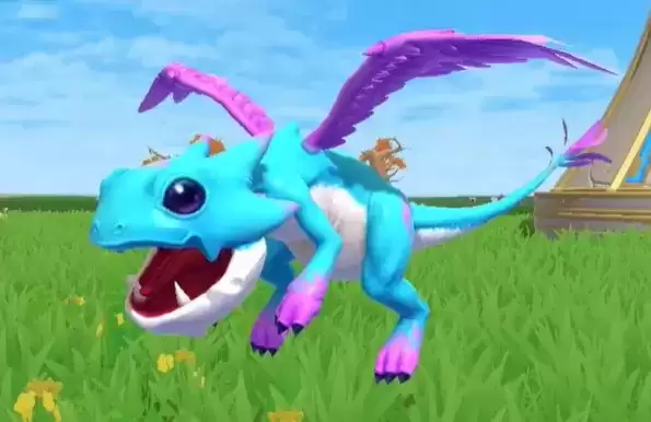 创造与魔法灵龙刷新位置在哪