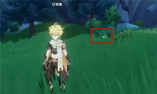 原神风种子位置