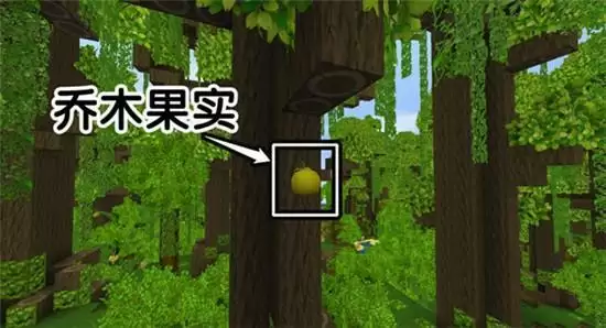 迷你世界2021雨林地图地形码详情一览