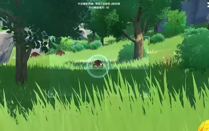 原神福至五彩NPC季同位置及5种颜色照片珀摄位置大全