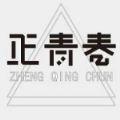 正青春