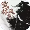武林风云