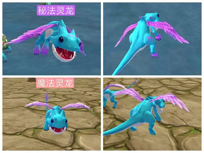 创造与魔法龙树岛资源分布图 龙树岛资源战宠位置攻略图片36