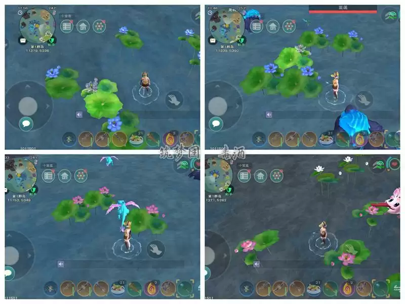 创造与魔法龙树岛资源分布图 龙树岛资源战宠位置攻略图片42