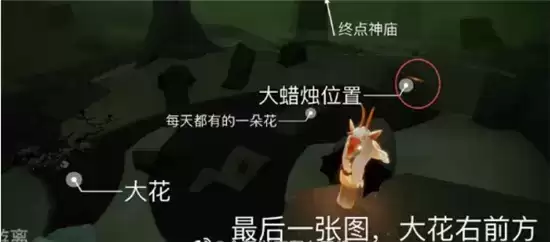 光遇1.25大蜡烛在哪里 1月25日任务攻略图片6