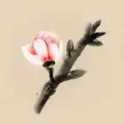 冬蜃楼