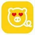 全民养猪赚钱