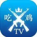 吃鸡三颗灰画质助手