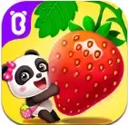 宝宝爱水果蔬菜