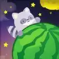 吃个宇宙大瓜