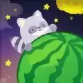 吃个宇宙大瓜