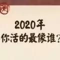 2020你活的最像谁测试