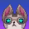 赛博猫