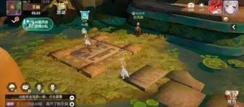 梦想新大陆考古学家的心血攻略 考古学家的心血流程攻略