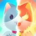 猫咪之光