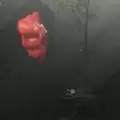 遗忘工程师