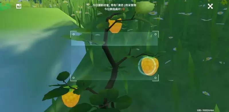 原神福至五彩第五天攻略 带有黄色的采集物是什么