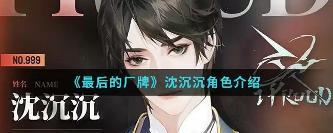 《最后的厂牌》沈沉沉角色介绍