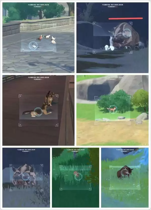 原神福至五彩第六天深褐色生物汇总