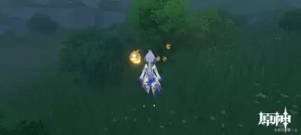 《原神》带有黄色的采集物位置介绍