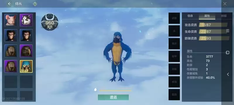 《妄想山海》金刚鹦鹉资质介绍