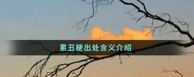 累丑梗出处含义介绍