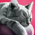 养猫模拟器