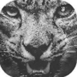 和平精英雪豹画质助手