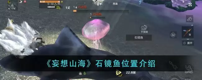 《妄想山海》石镜鱼位置介绍