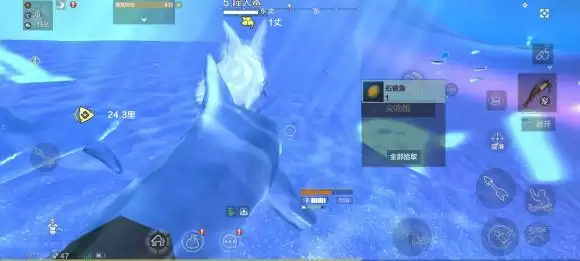 《妄想山海》石镜鱼位置介绍