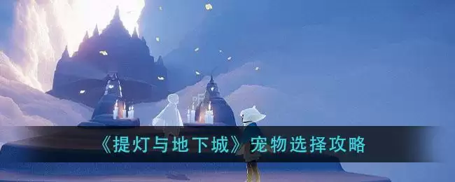 《提灯与地下城》宠物选择攻略