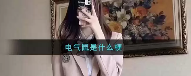 电气鼠是什么梗