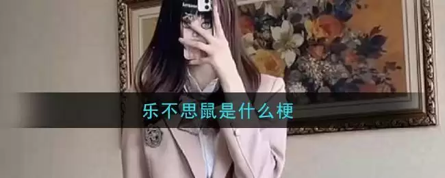 乐不思鼠是什么梗