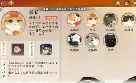 忘川风华录结喵亲玩法攻略详解