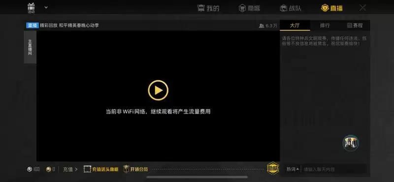 和平精英紫色R标怎么弄？出生岛名字前紫色R标怎么解锁图片3