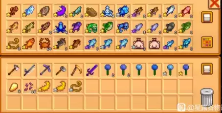 星露谷物语1.5春季鱼王能钓几条