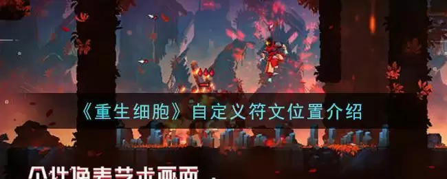 《重生细胞》自定义符文位置介绍